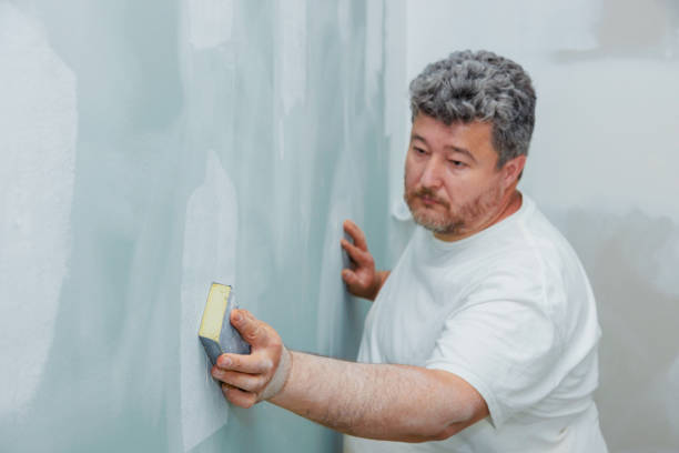 Trusted Ridgemark, CA Drywall & Painting Services Experts